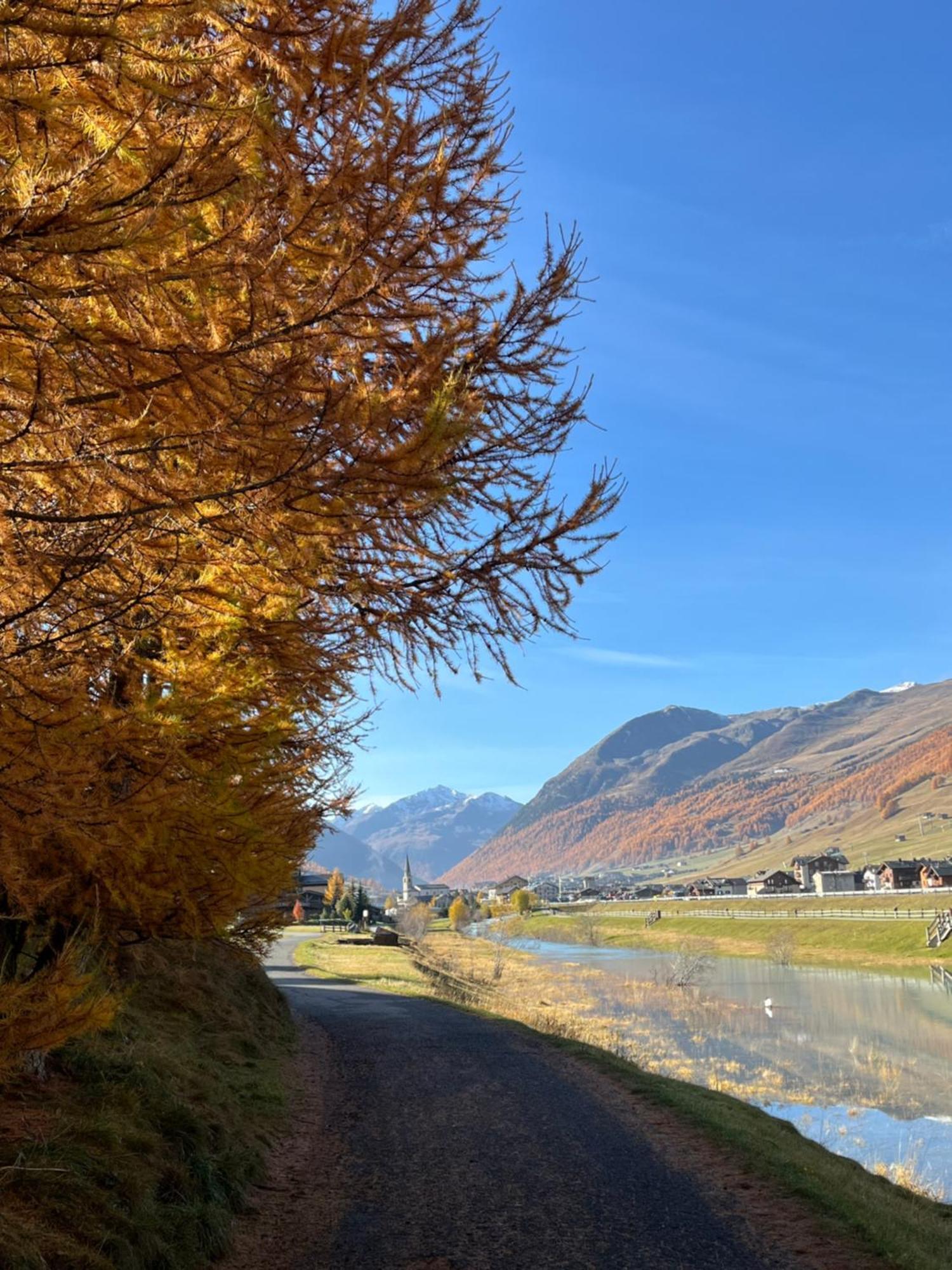 Chalet Shany Livigno Exterior foto